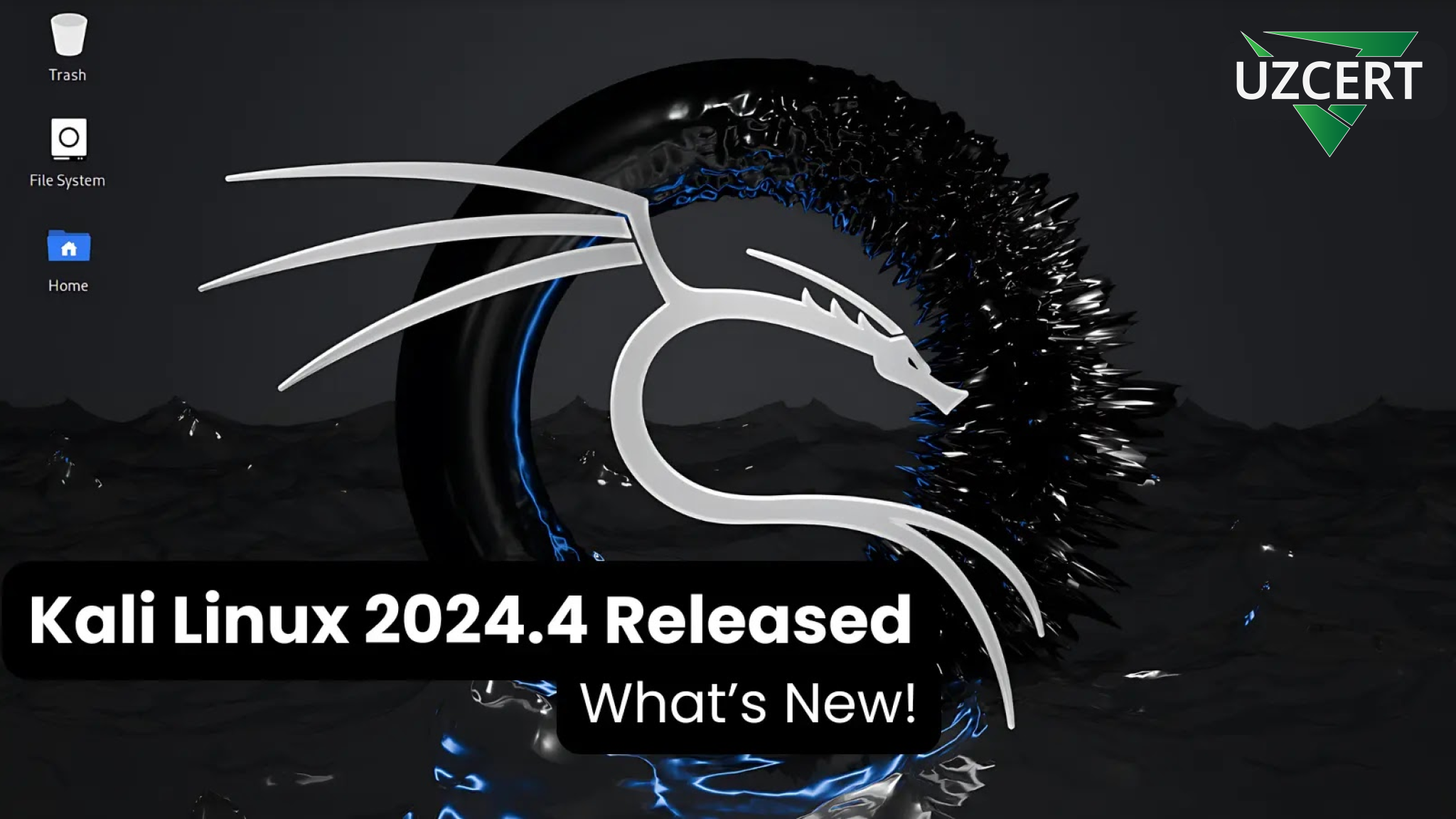 Kali Linux 2024.4 Released With New Hacking Tools