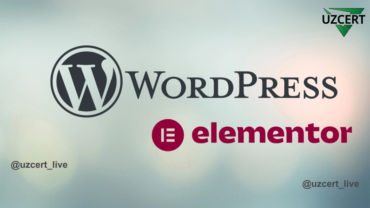 Critical Elementor Plugin Vulnerability Puts Thousands of WordPress ...